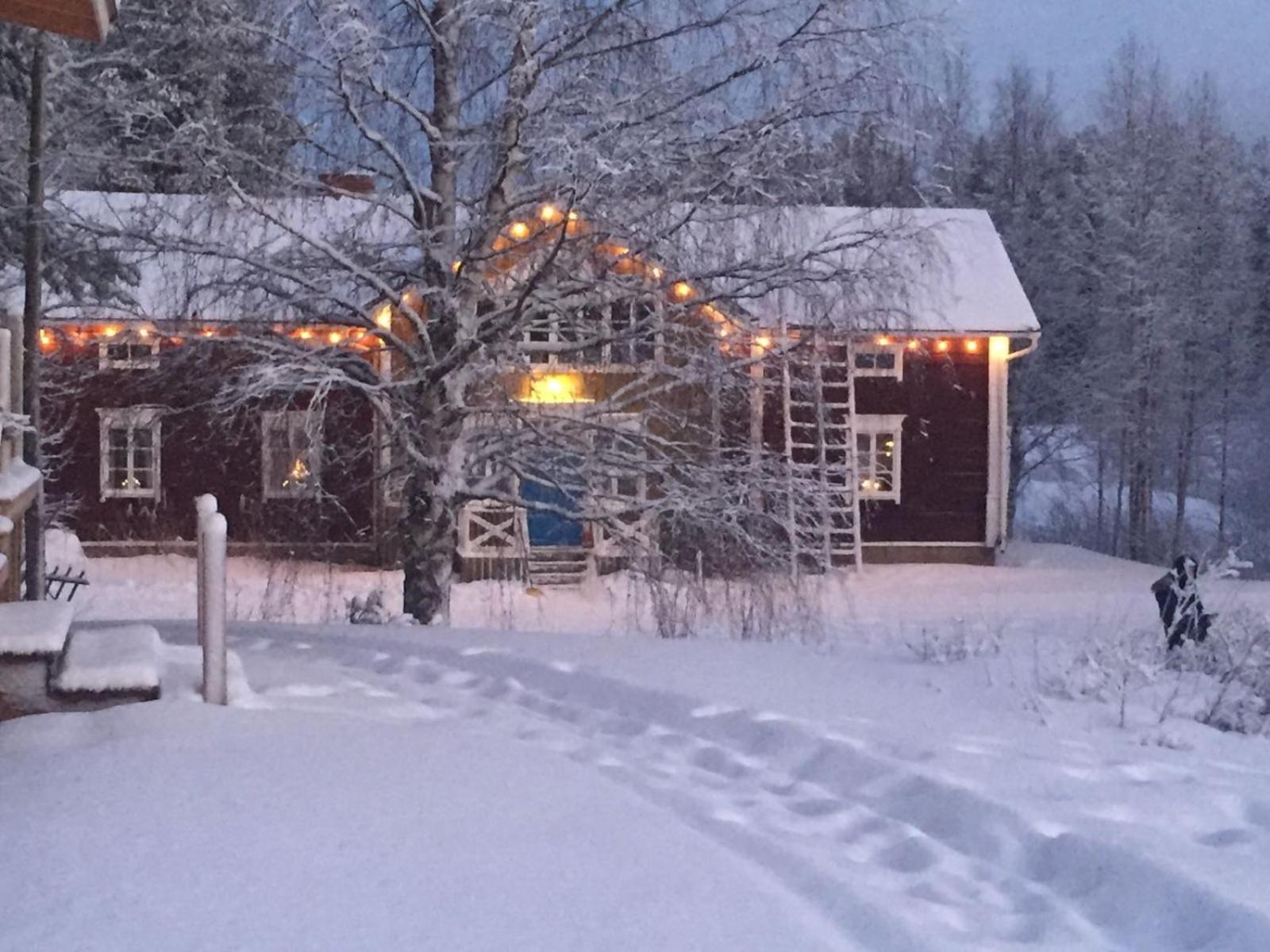 Korvala Log Cabins Luaran gambar